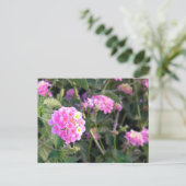 ピンクの野生の花 ポストカード (スタンド正面)