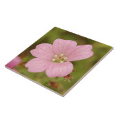 ピンクの野生ゼラニウム タイル (側面)