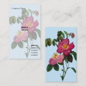 ピンクの野生バラの花ピエールジョセフレッドテ 名刺 (正面/裏面)