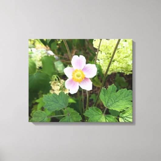 ピンクの野花キャンバスプリント|植物画 フローラル キャンバスプリント (正面)