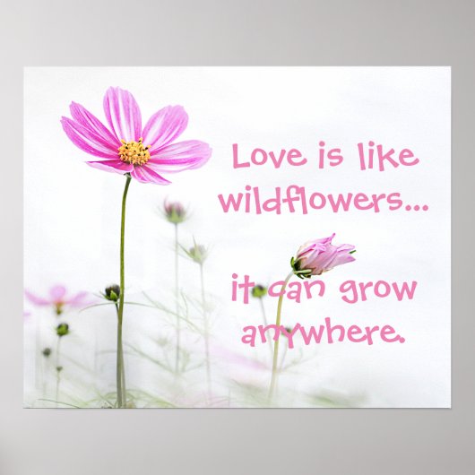 ピンクの野花 ポスター (正面)