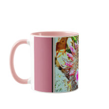 ピンクの開花のマグが付いている釣鉤のサボテン