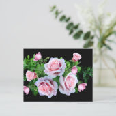 ピンクの開花バラ ポストカード (スタンド正面)