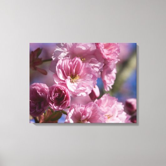 ピンクの開花日本のさくらんぼ花ウォールアート キャンバスプリント (正面)