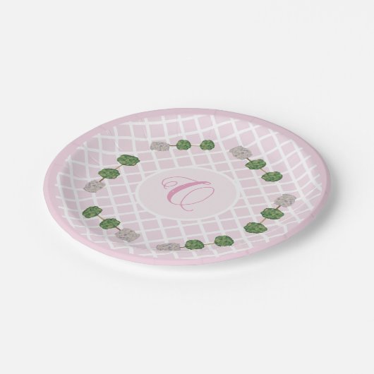 ピンクの陳腐なジンジャージャーストピアリーバスケット ペーパープレート (アングル)