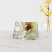 ピンクの雄蕊を持つクリーム色の白い牡丹の花 カード (黄色い花)