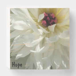 ピンクの雄蕊を持つホープ – クリーミーな白い牡丹の花 ウッドボックスサイン