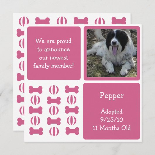 ピンクの雌犬ペット発表フォトカード 案内状 (正面/裏面)