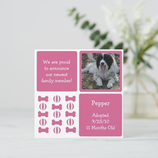 ピンクの雌犬ペット発表フォトカード 案内状 (スタンド正面)