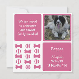 ピンクの雌犬ペット発表フォトカード 案内状