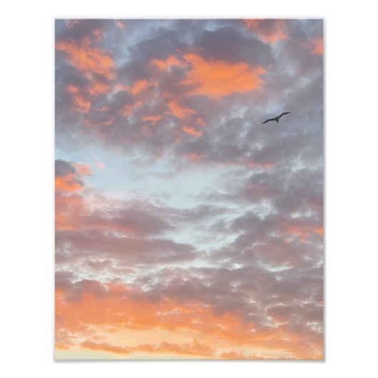 ピンクの雲の中を飛ぶ鳥の写真プリント フォトプリント            (正面)