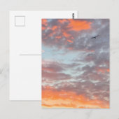 ピンクの雲の空を飛ぶ鳥の写真 ポストカード (正面/裏面)