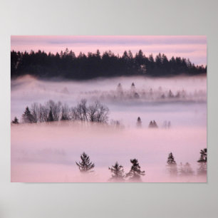 ピンクの霧の毛布。 ポスター