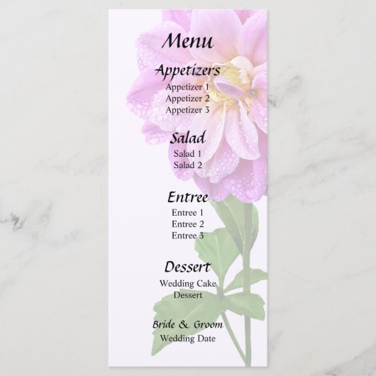 ピンクの露のダリア メニュー (正面)