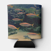 ピンクの魚のショール水中写真パーソナライズされた 缶クーラー (裏面)