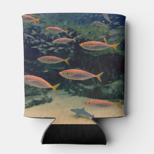 ピンクの魚のショール水中写真パーソナライズされた 缶クーラー (裏面)