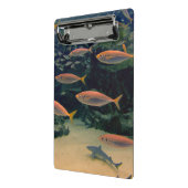 ピンクの魚のショール水中写真 ミニクリップボード (アングル2)