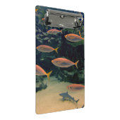 ピンクの魚のショール水中写真 ミニクリップボード (アングル)