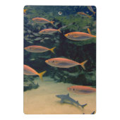 ピンクの魚のショール水中写真 ミニクリップボード (裏面)
