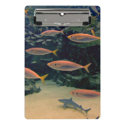 ピンクの魚のショール水中写真 ミニクリップボード (正面)