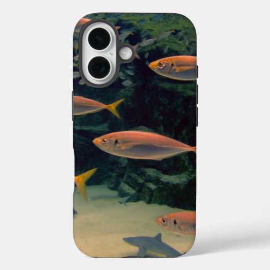 ピンクの魚のショール水中写真 Case-Mate iPhoneケース (裏面)