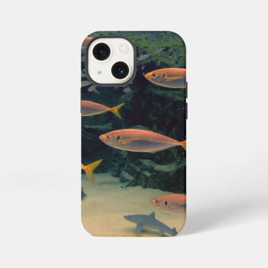 ピンクの魚の群れ iPhoneケース (裏面)