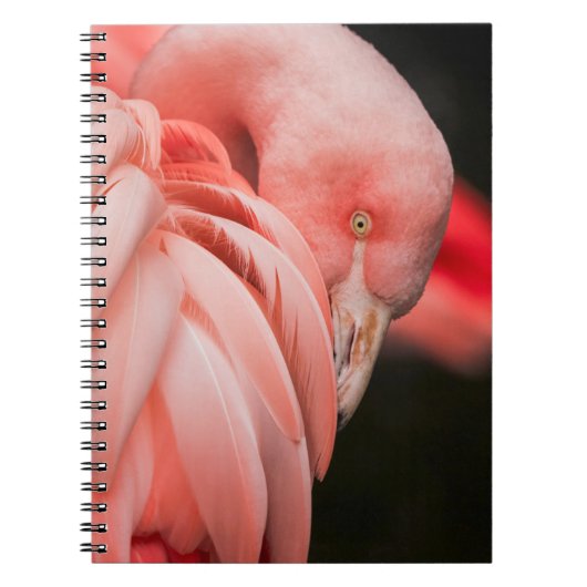 ピンクの鳥のクローズアップ写真 ノートブック (正面)