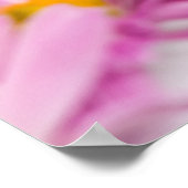 ピンクの黄色い花シームレスな背景 ポスター (角)