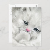ピンクの鼻ホワイトフワフワ子猫葉書 ポストカード (正面/裏面)