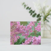 ピンクの アスティルベの花 ポストカード (スタンド正面)