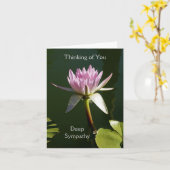 ピンクの《植物》スイレンの悔やみや弔慰カード カード (黄色い花)