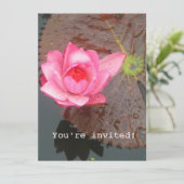 ピンクの《植物》スイレンの花空白のの招待 招待状 (スタンド正面)