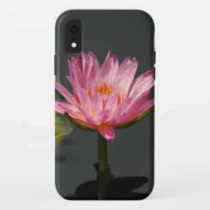 ピンクの《植物》スイレンの電話ケース iPhone XRケース