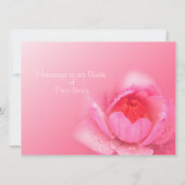 ピンクの《植物》スイレンを背景にピンク。粉 红 色 睡 莲 。 招待状 (裏面)