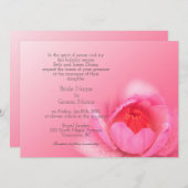 ピンクの《植物》スイレンを背景にピンク。粉 红 色 睡 莲 。 招待状 (正面/裏面)