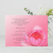 ピンクの《植物》スイレンを背景にピンク。粉 红 色 睡 莲 。 招待状 (スタンド正面)