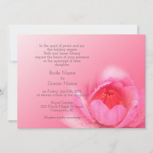 ピンクの《植物》スイレンを背景にピンク。粉 红 色 睡 莲 。 招待状 (正面)