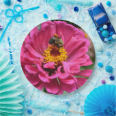 ピンクの《植物》百日草とのまわりに ペーパープレート (パーティー)