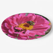 ピンクの《植物》百日草とのまわりに ペーパープレート (アングル)