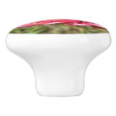 ピンクの《植物》百日草と黄色のセンターラグ セラミックノブ (側面)