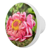 ピンクの《植物》百日草と黄色のセンターラグ セラミックノブ (右)