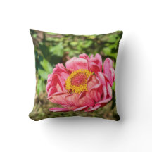 ピンクの《植物》百日草と黄色の中心