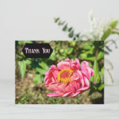 ピンクの《植物》百日草と黄色の中心 サンキューカード (スタンド正面)