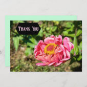 ピンクの《植物》百日草と黄色の中心 サンキューカード (正面/裏面)