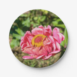 ピンクの《植物》百日草と黄色の中心 ペーパープレート