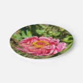 ピンクの《植物》百日草と黄色の中心 ペーパープレート (アングル)