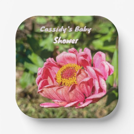 ピンクの《植物》百日草と黄色の中心 ペーパープレート (正面)