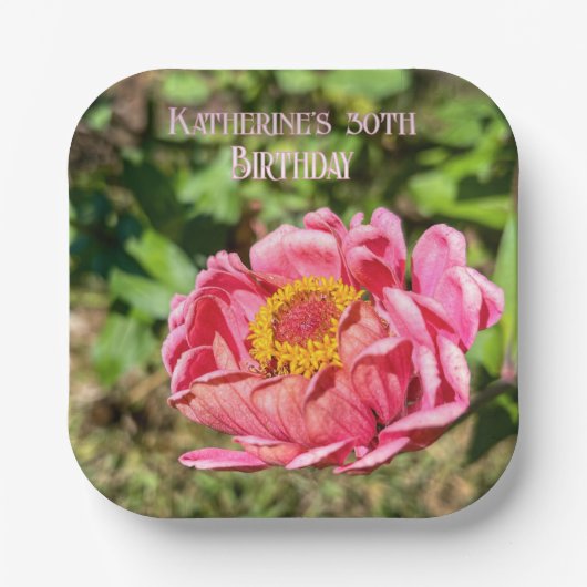 ピンクの《植物》百日草と黄色の中心 ペーパープレート (正面)