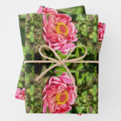 ピンクの《植物》百日草と黄色の中心 ラッピングペーパーシート (インサイチュ)