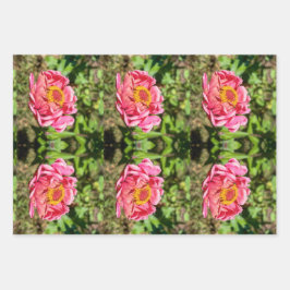 ピンクの《植物》百日草と黄色の中心 ラッピングペーパーシート